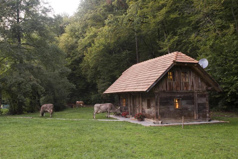 Domacija Seruga Countryside Hotel Novo Mesto Dış mekan fotoğraf