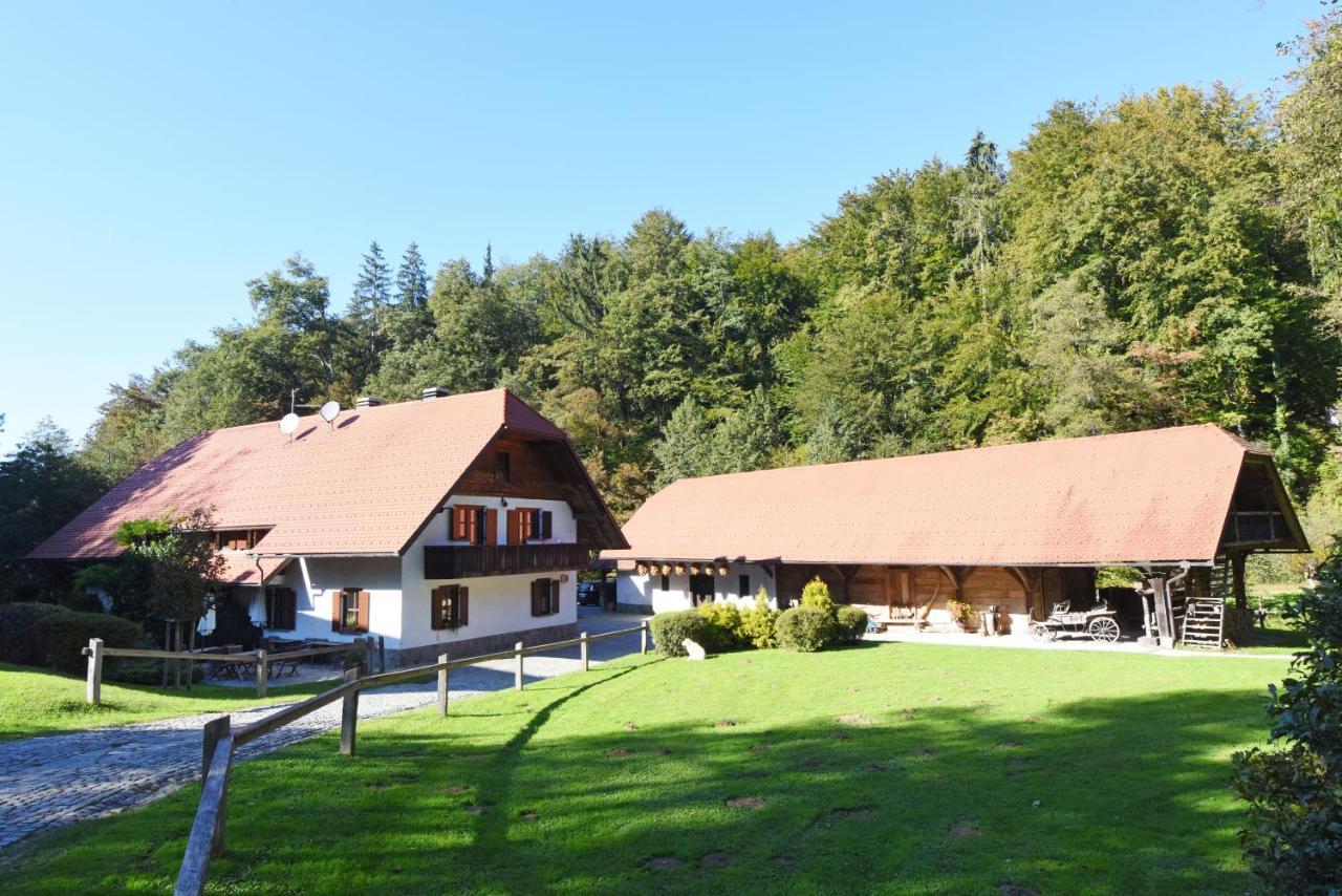 Domacija Seruga Countryside Hotel Novo Mesto Dış mekan fotoğraf