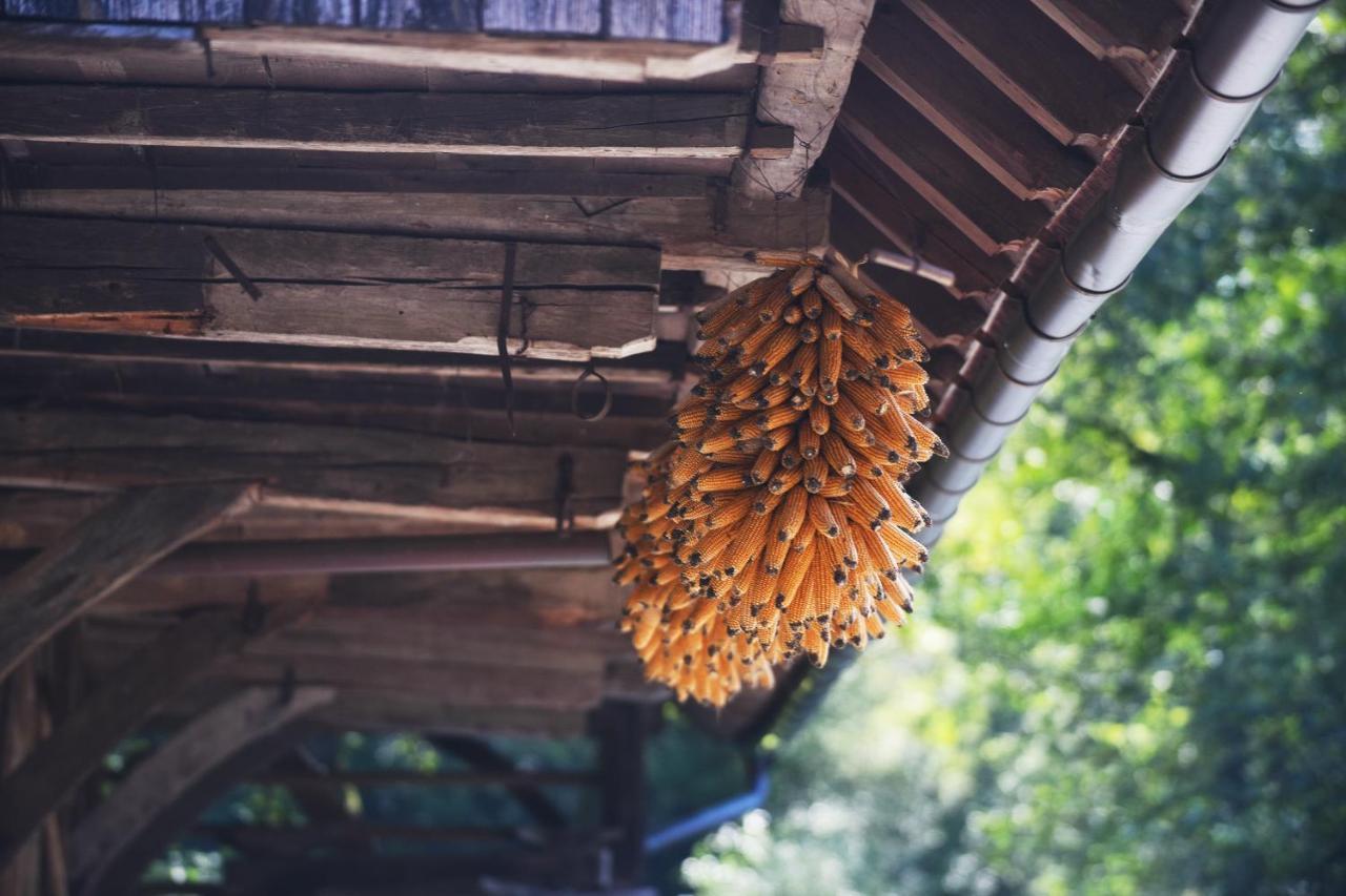 Domacija Seruga Countryside Hotel Novo Mesto Dış mekan fotoğraf