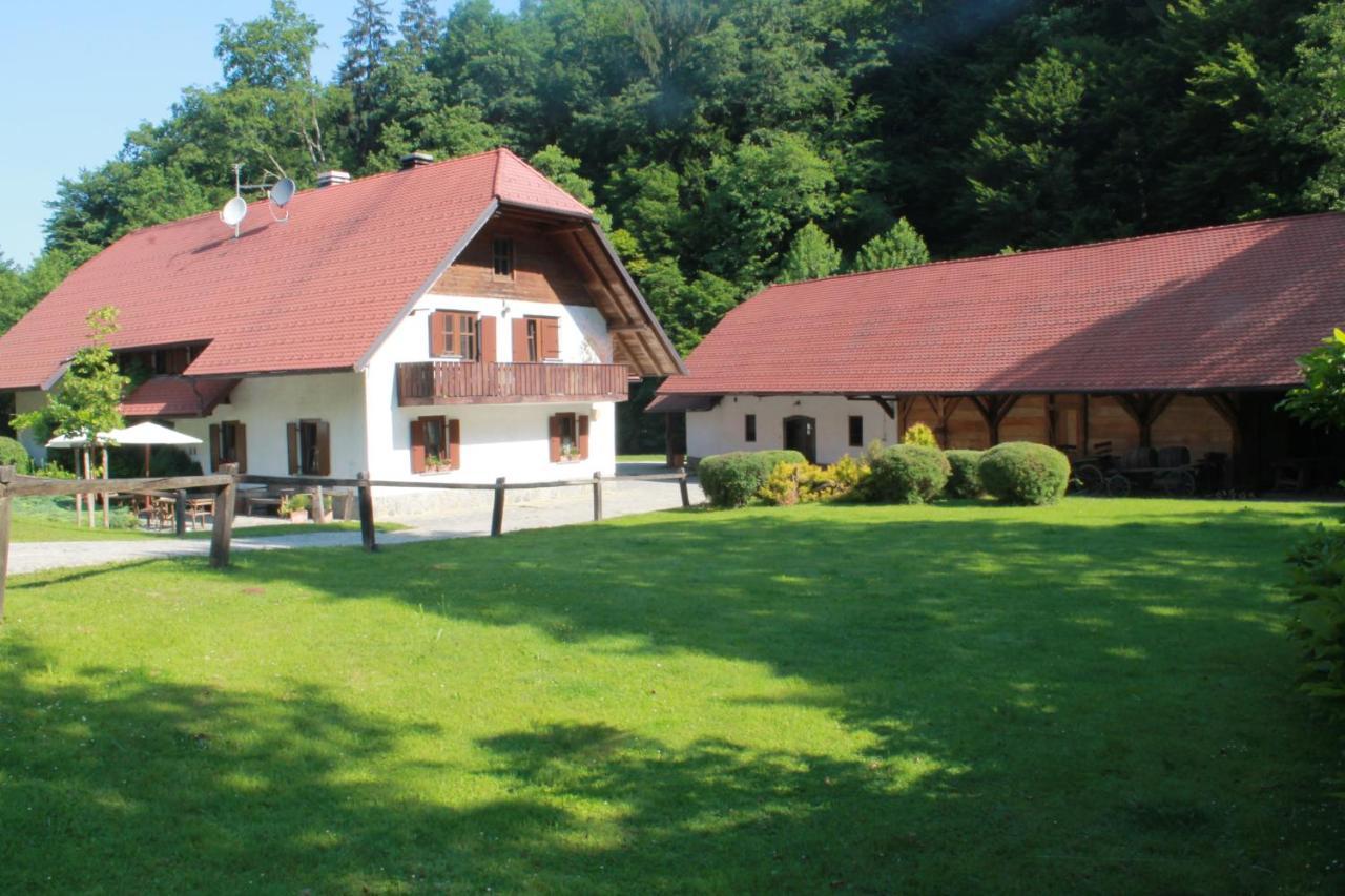 Domacija Seruga Countryside Hotel Novo Mesto Dış mekan fotoğraf